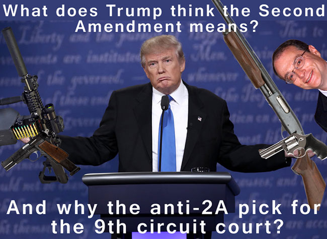 President Trump's View of 2nd Amendment Not What Gun Owners Thought?