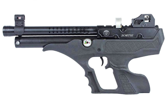 Hunting with the Hatsan Sortie Air Pistol